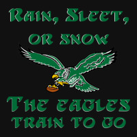 Rain Sleet Or Snow Birds Graphic T-shirt | Artistshot