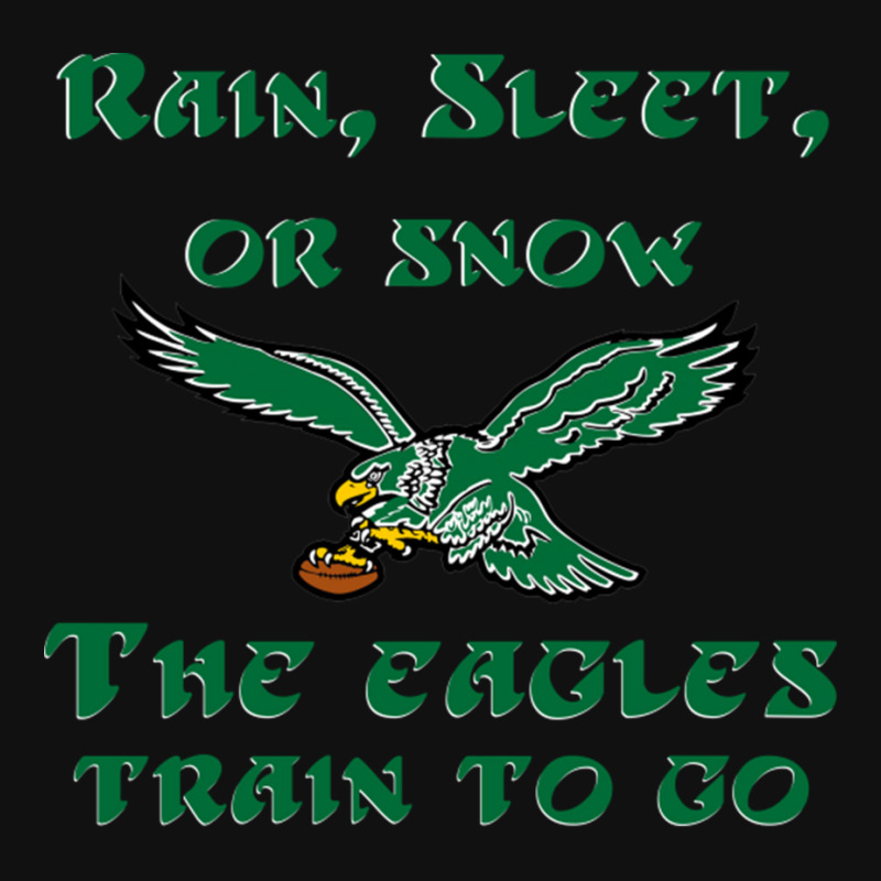 Rain Sleet Or Snow Birds Graphic T-shirt by StarActon | Artistshot