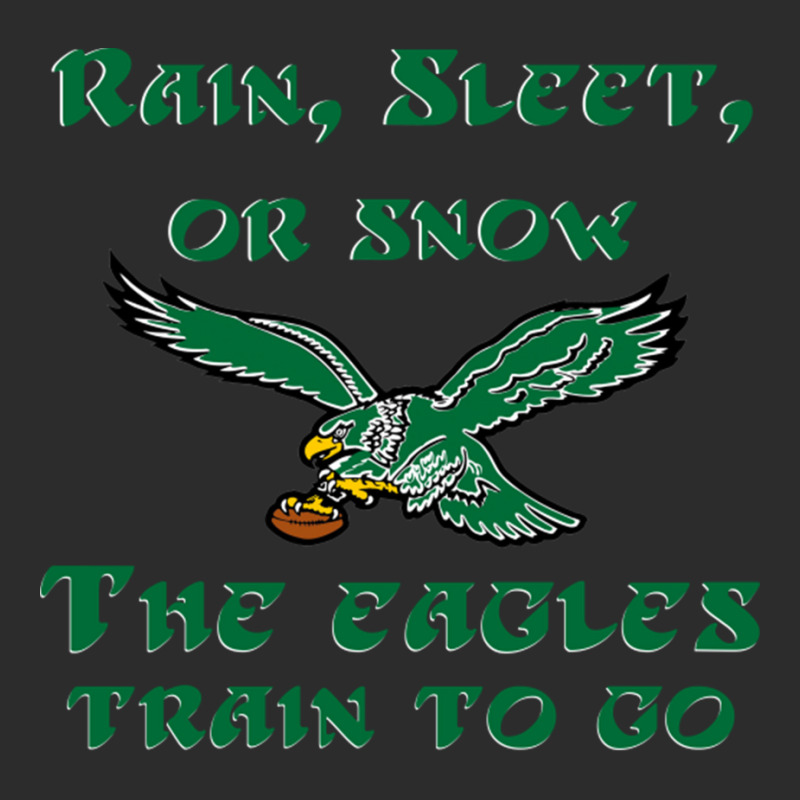 Rain Sleet Or Snow Birds Exclusive T-shirt by StarActon | Artistshot