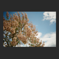 Granite Belt Flowers On 35mm Film Printed Hat | Artistshot