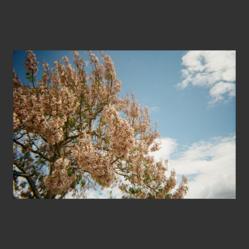 Granite Belt Flowers On 35mm Film Baby Bodysuit | Artistshot