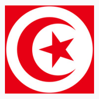 Tunisia Flag T-shirt | Artistshot