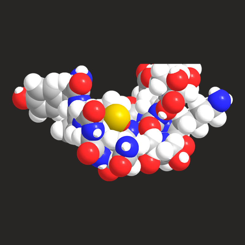 Alpha Endorphin Molecule Chemistry Ladies Fitted T-Shirt by Sizemore Adame | Artistshot