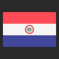 Flag Of Paraguay Toddler T-shirt | Artistshot