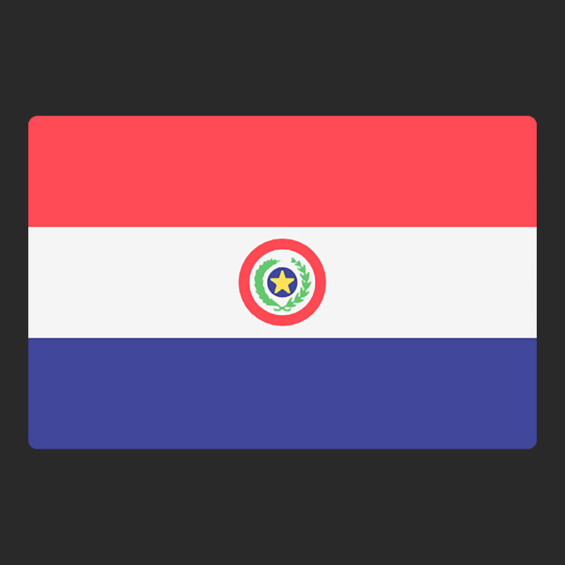 Flag Of Paraguay Toddler T-shirt by Pannell Quintero | Artistshot