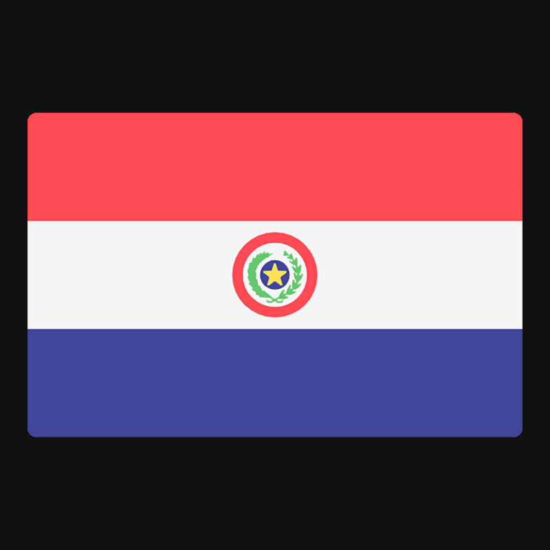 Flag Of Paraguay Baby Bibs by Pannell Quintero | Artistshot