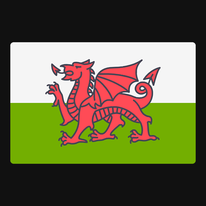 Flag Of Wales Graphic Youth T-shirt by Pannell Quintero | Artistshot