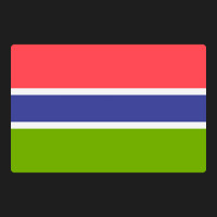 Awesome Gambia Flag Classic T-shirt | Artistshot