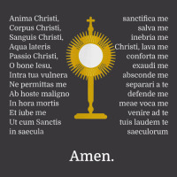 Anima Christi Tshirt Soul Of Christ Sanctify Catholic Latin Ladies Curvy T-shirt | Artistshot