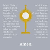 Anima Christi Tshirt Soul Of Christ Sanctify Catholic Latin Tank Dress | Artistshot