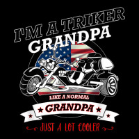 Cool Usa Triker Grandpa, Trike Gift Design Kids Cap | Artistshot