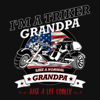 Cool Usa Triker Grandpa, Trike Gift Design Graphic Youth T-shirt | Artistshot