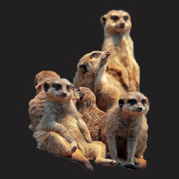 Lettertrunk Meerkat Family In The Kalahari Desert T-shirt | Artistshot