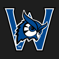 Westfield State Owls Classic T-shirt | Artistshot