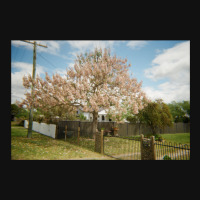 Granite Belt Flowers On 35mm Film Shield S Patch | Artistshot