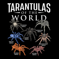 Tarantulas Of The World Arachnid Lover Spider Arachnophile Women's V-neck T-shirt | Artistshot