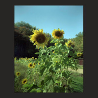 Film Sunflowers Ladies Fitted T-shirt | Artistshot