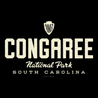 Congaree Islands National Park 2003 Arrowhead Tan Kids Cap | Artistshot