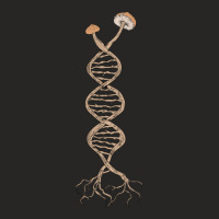 Pick Mushrooms Is In My Dna Shroom Mycology Fungi Foraging Ladies Fitted T-shirt | Artistshot