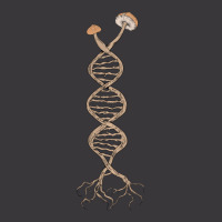 Pick Mushrooms Is In My Dna Shroom Mycology Fungi Foraging Ladies Curvy T-shirt | Artistshot