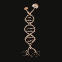 Pick Mushrooms Is In My Dna Shroom Mycology Fungi Foraging Scorecard Crop Tee | Artistshot