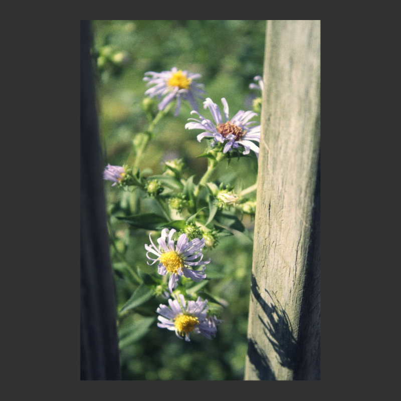 Porch Rail Aster Baby Bodysuit by AcostaLopezJuan | Artistshot