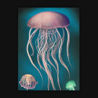 Jellyfish Artwork Beach Baby Beanies | Artistshot