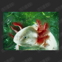 Albino Axolotl Printed Hat | Artistshot