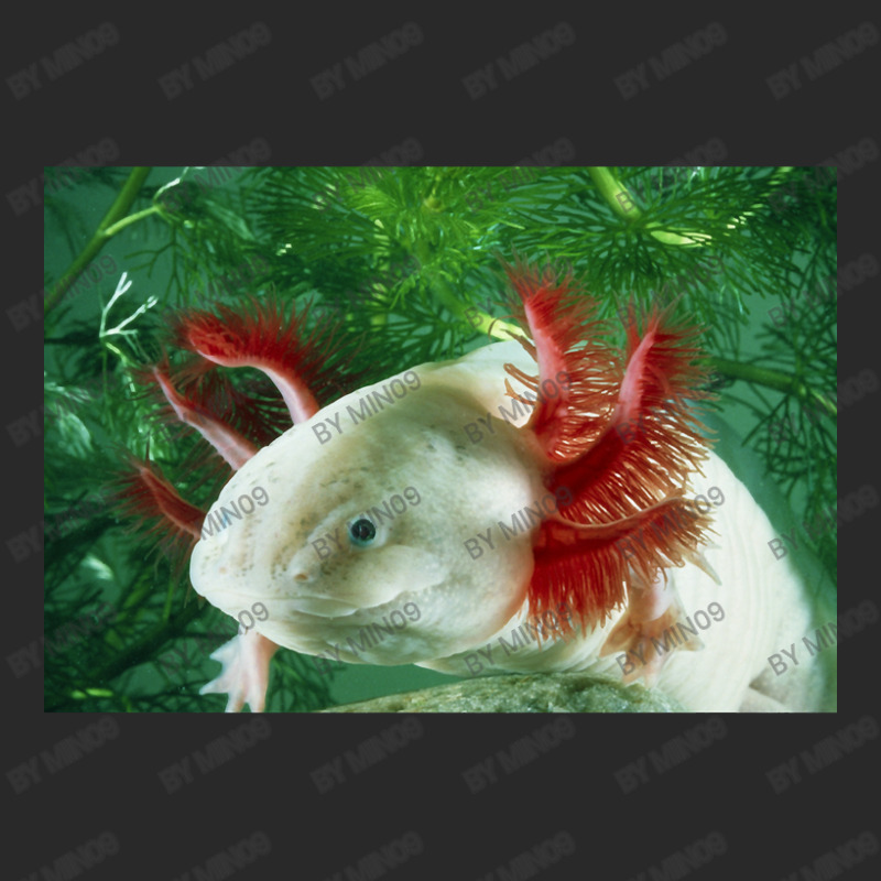 Albino Axolotl Printed hat by Min09 | Artistshot