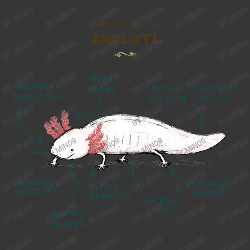 Anatomy Of An Axolotl Toddler Hoodie by Min09 | Artistshot