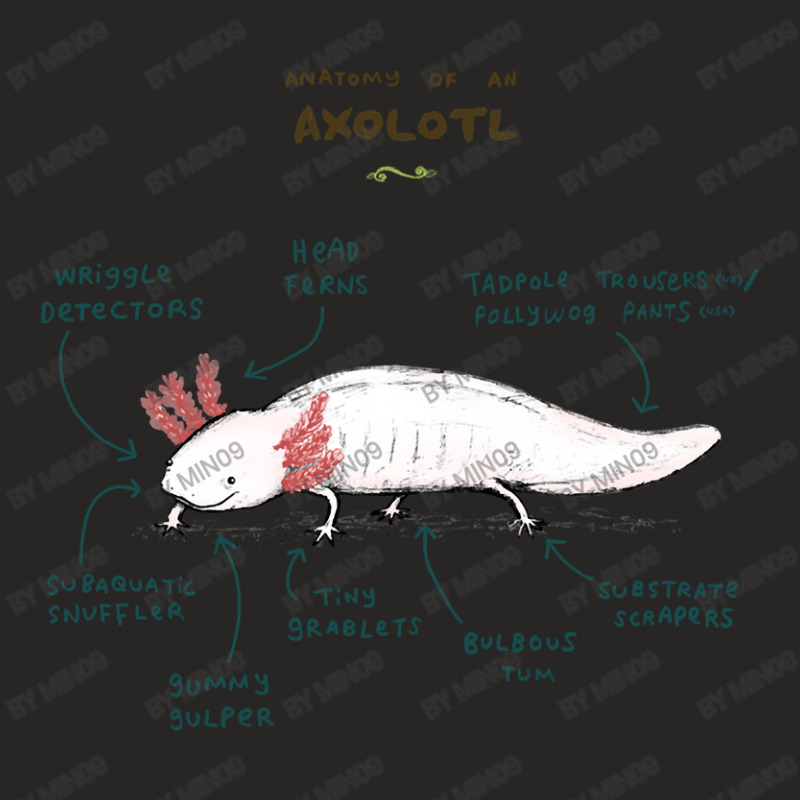 Anatomy Of An Axolotl Ladies Fitted T-Shirt by Min09 | Artistshot