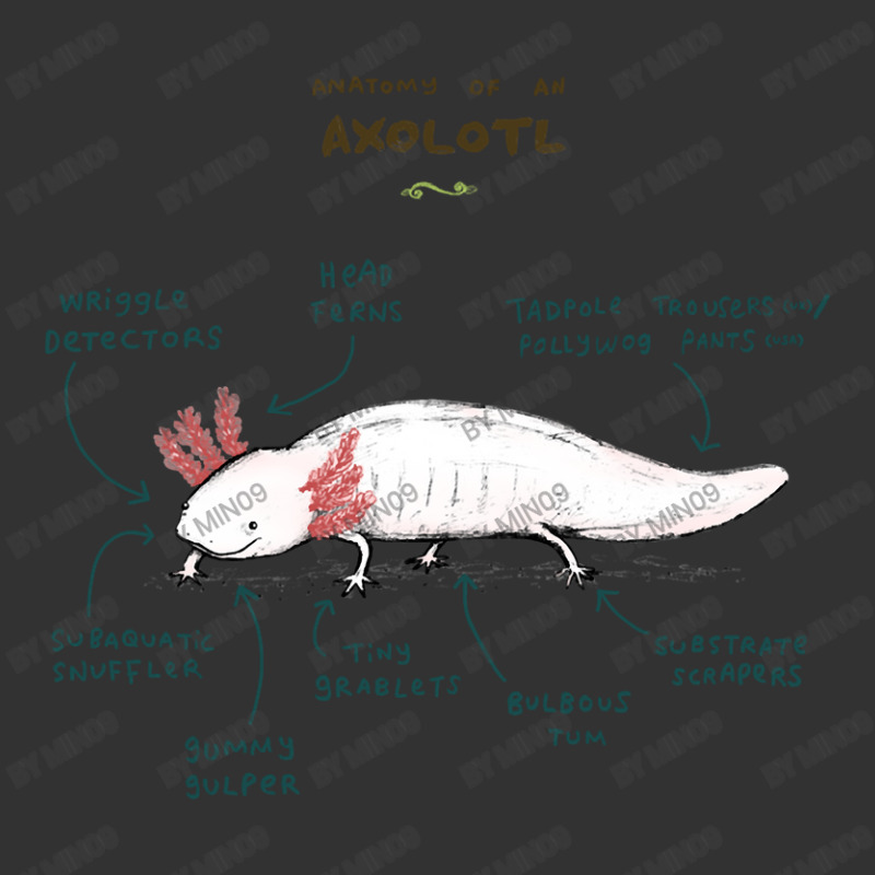 Anatomy Of An Axolotl Baby Bodysuit by Min09 | Artistshot