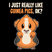 I Just Really Like T  Shirt I Just Really Like Guinea Pigs O K Men's 3/4 Sleeve Pajama Set | Artistshot