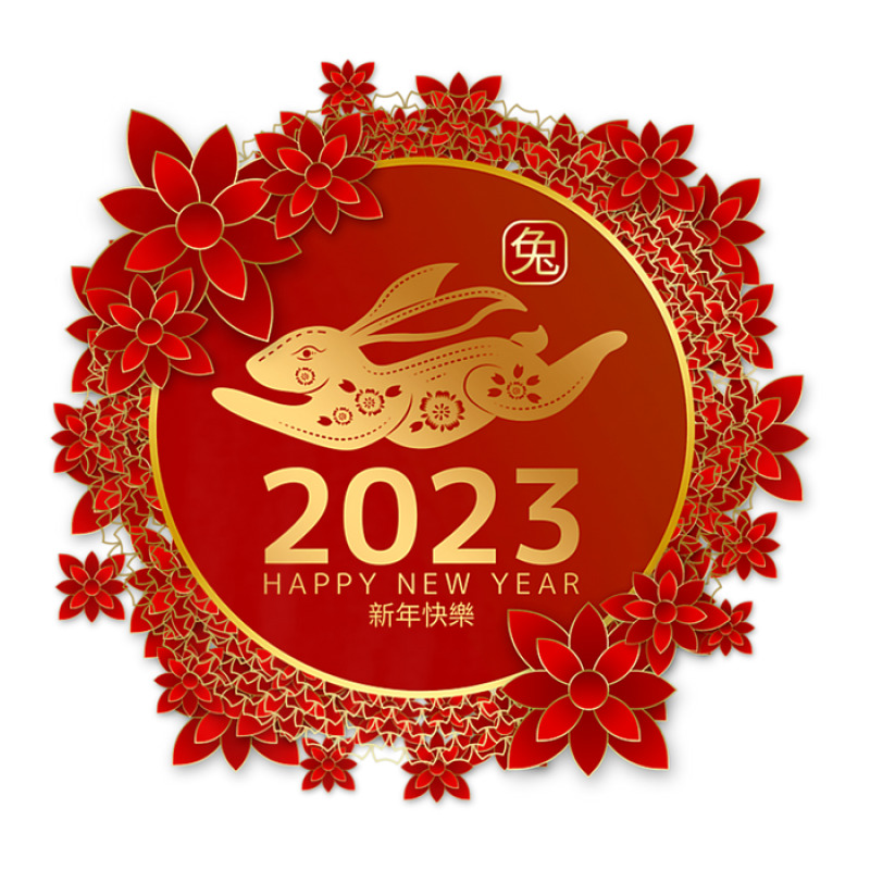 Chinese Zodiac Horoscope Decor New Year Of The Rabbit 2023 Unisex Hoodie | Artistshot