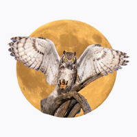 Majestic Great Horned Owl Nocturnal Bird With Full Moon T-shirt | Artistshot