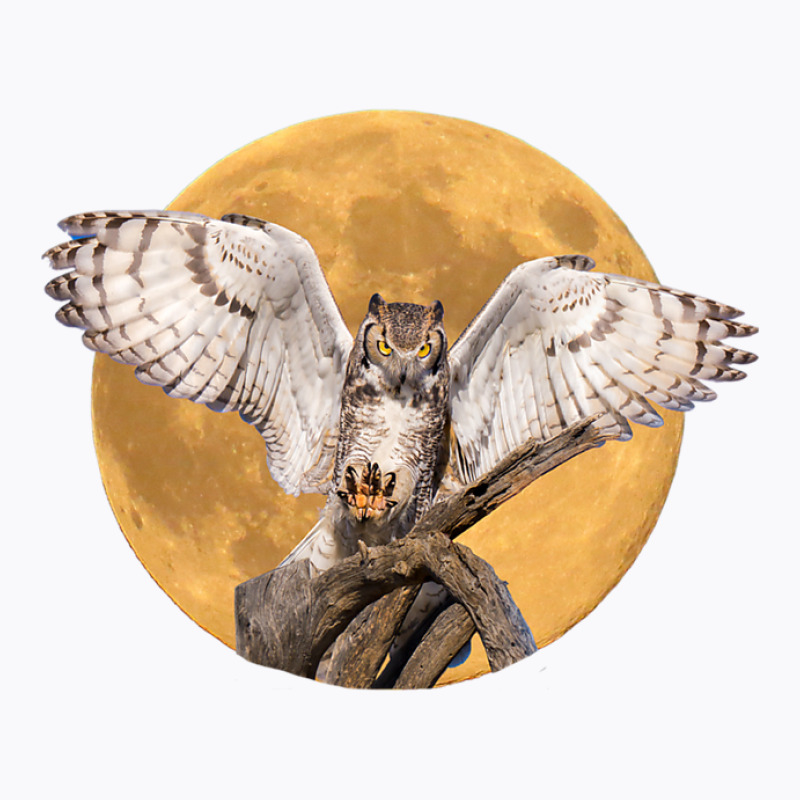 Majestic Great Horned Owl Nocturnal Bird With Full Moon T-shirt | Artistshot