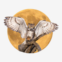 Majestic Great Horned Owl Nocturnal Bird With Full Moon Graphic T-shirt | Artistshot