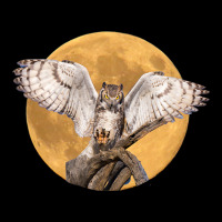 Majestic Great Horned Owl Nocturnal Bird With Full Moon Men's 3/4 Sleeve Pajama Set | Artistshot