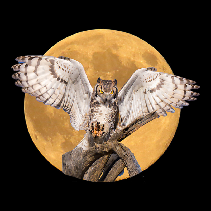 Majestic Great Horned Owl Nocturnal Bird With Full Moon Men's 3/4 Sleeve Pajama Set | Artistshot