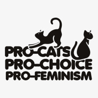 Pro Cats Pro Choice Pro Feminism Ladies Fitted T-shirt | Artistshot