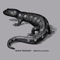 Spotted Salamader - Vintage Scientific Illustration Youth 3/4 Sleeve | Artistshot