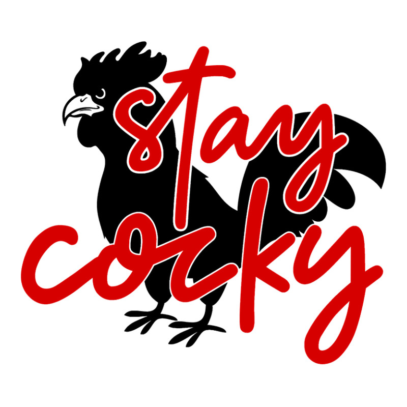 Let Them Know You Are Cocky Stay Cocky Jsu Gamecocks Youth Hoodie by AlejandroArtist | Artistshot