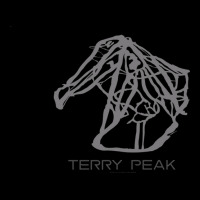 Terry Peak Resort 3d Adjustable Cap | Artistshot