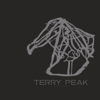 Terry Peak Resort 3d Ladies Fitted T-shirt | Artistshot