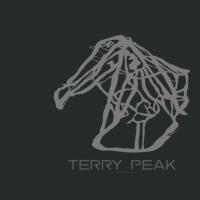 Terry Peak Resort 3d Women's Triblend Scoop T-shirt | Artistshot