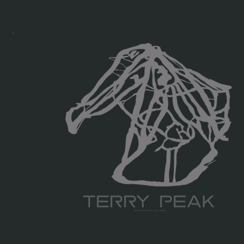 Terry Peak Resort 3d Women's Triblend Scoop T-shirt by oatesorlandoi9eepf | Artistshot