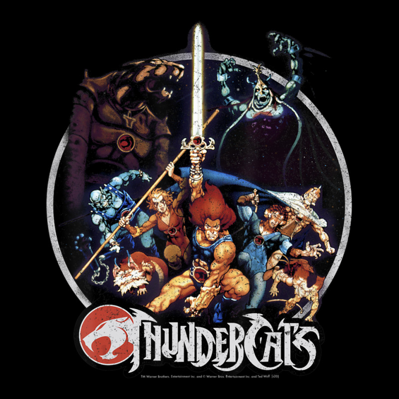 Thundercats Group Shot Vintage Circle Pocket T-Shirt by bummercaught | Artistshot