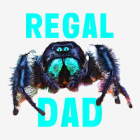 Regal Jumping Spider Dad Spooder Dad Fathers Day Pet Spider T Shirt Graphic Youth T-shirt | Artistshot