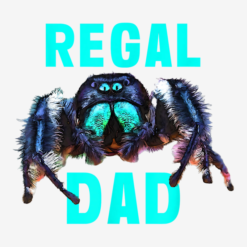 Regal Jumping Spider Dad Spooder Dad Fathers Day Pet Spider T Shirt Graphic Youth T-shirt by marge3nstbo | Artistshot