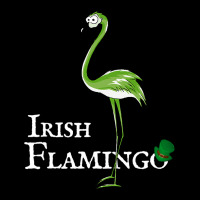 Funky Irish Flamingo Green Bird St Pattys Day V-neck Tee | Artistshot